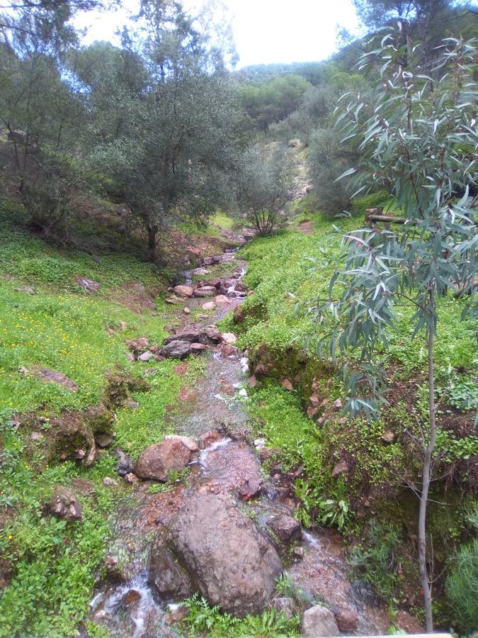 Casa Rural La Barandilla ξενώνας Villafranca de Córdoba Εξωτερικό φωτογραφία